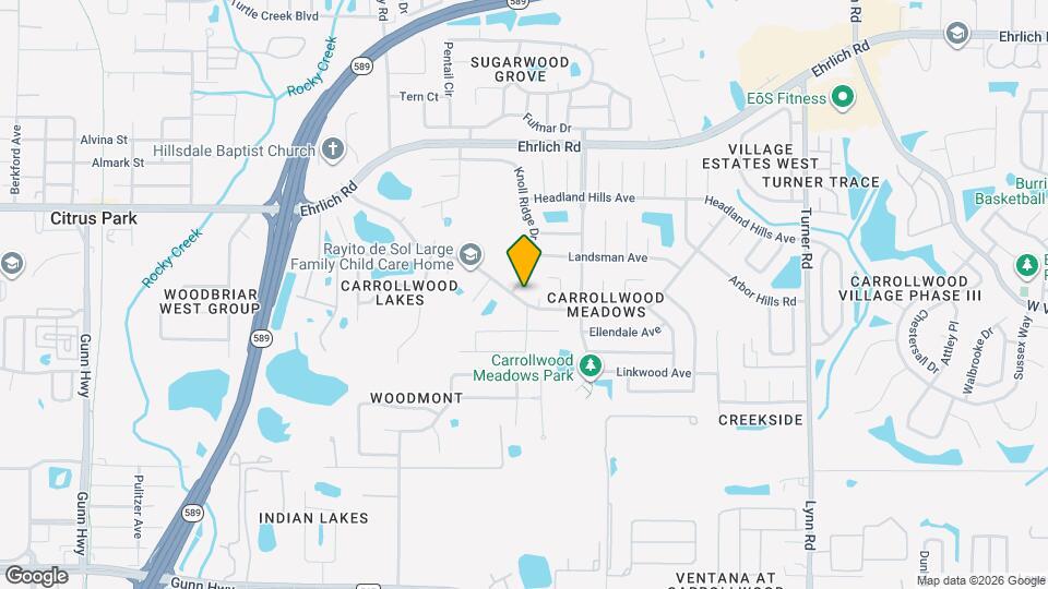 5301 Carrollwood Meadows Dr Map and Location Details