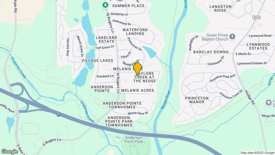 113 Rosalynn Ct Map and Location Details
