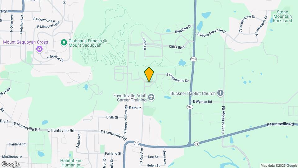 207 S Woodsprings Dr Map and Location Details