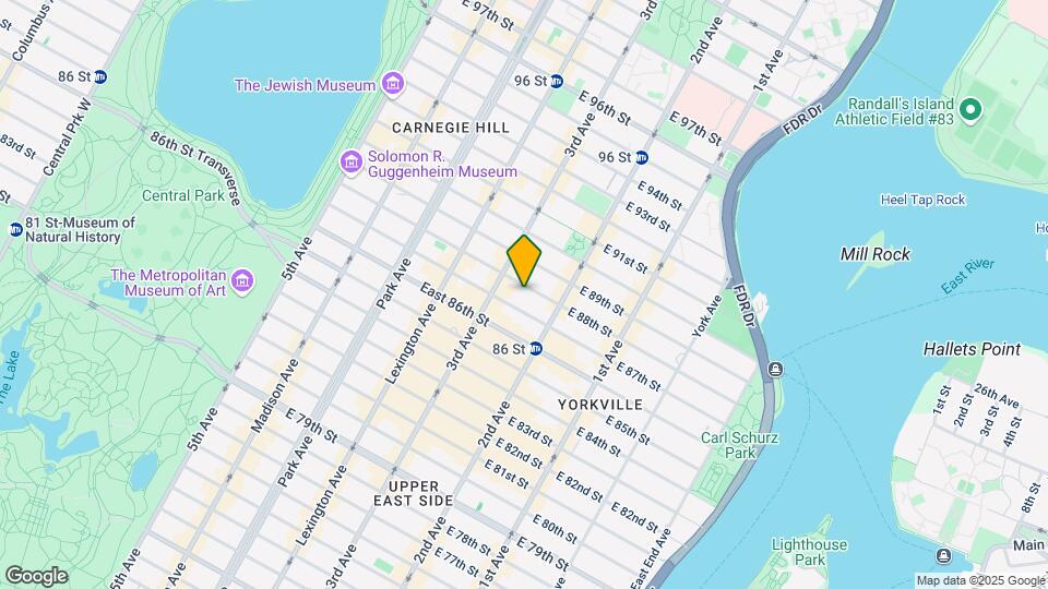 214 E 88th St Mapa y Detalles de la Ubicación