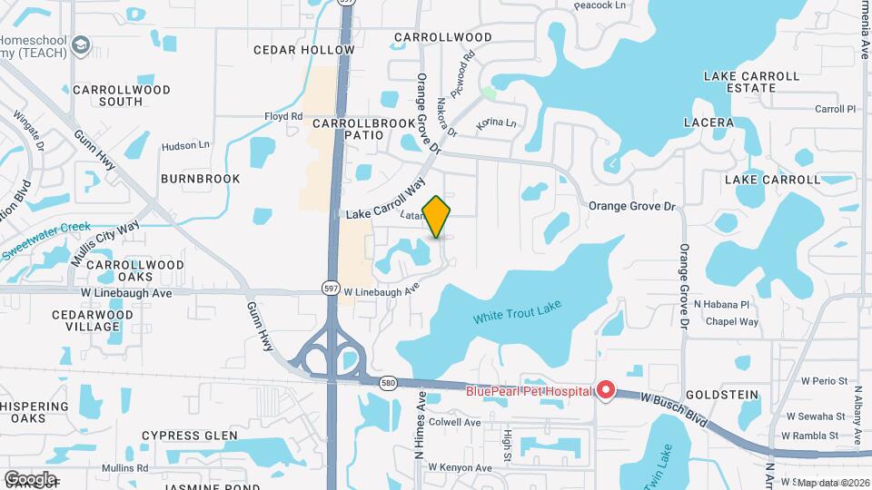 10374 Carrollwood Ln Map and Location Details