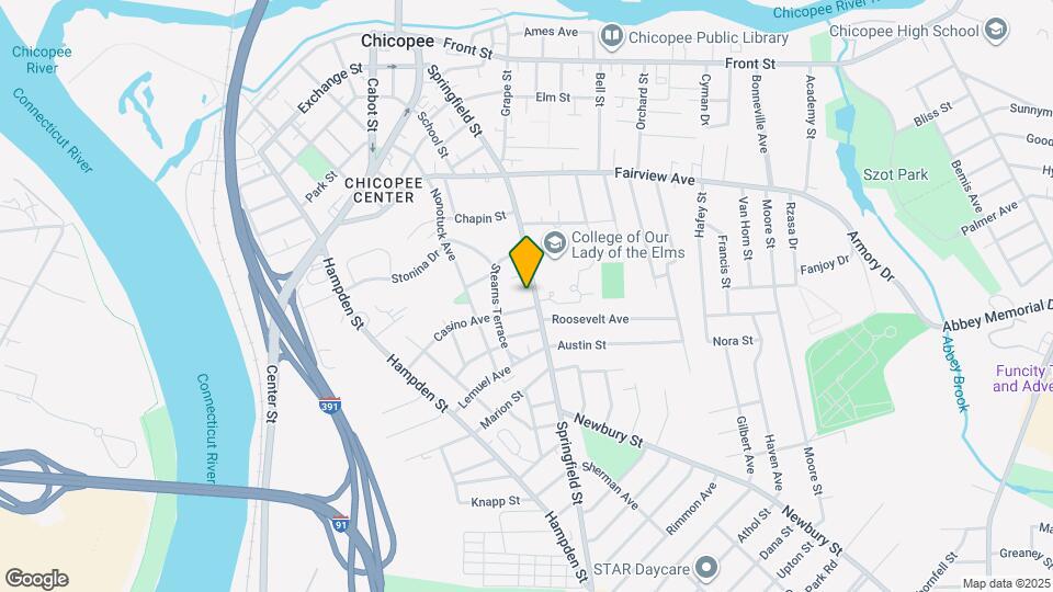 314 Springfield St Map and Location Details