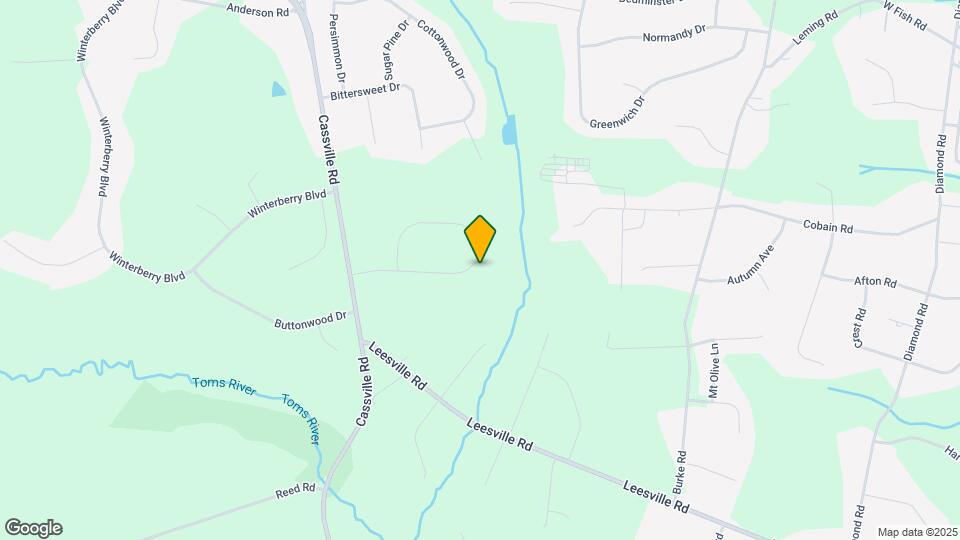 29 Anita Dr Mapa y Detalles de la Ubicación