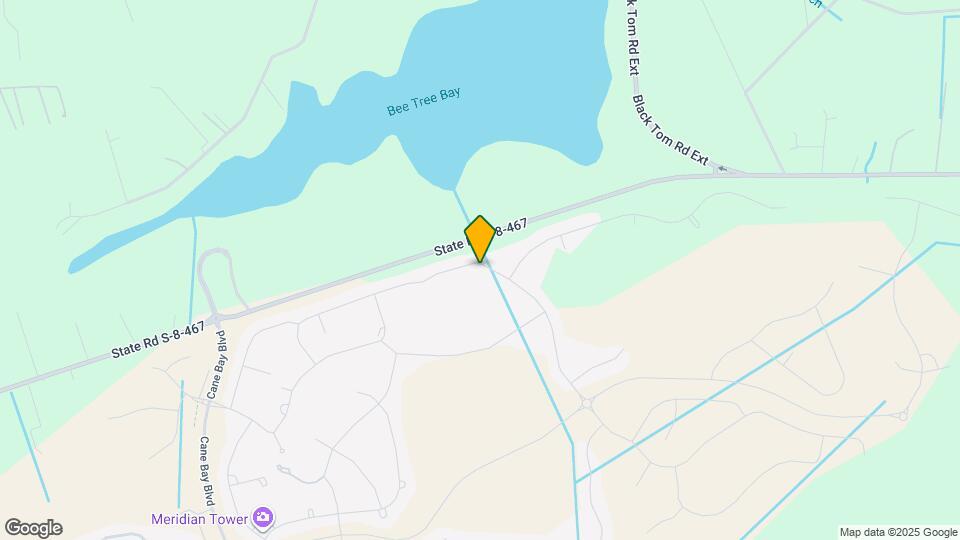 291 Bering Ln Mapa y Detalles de la Ubicación