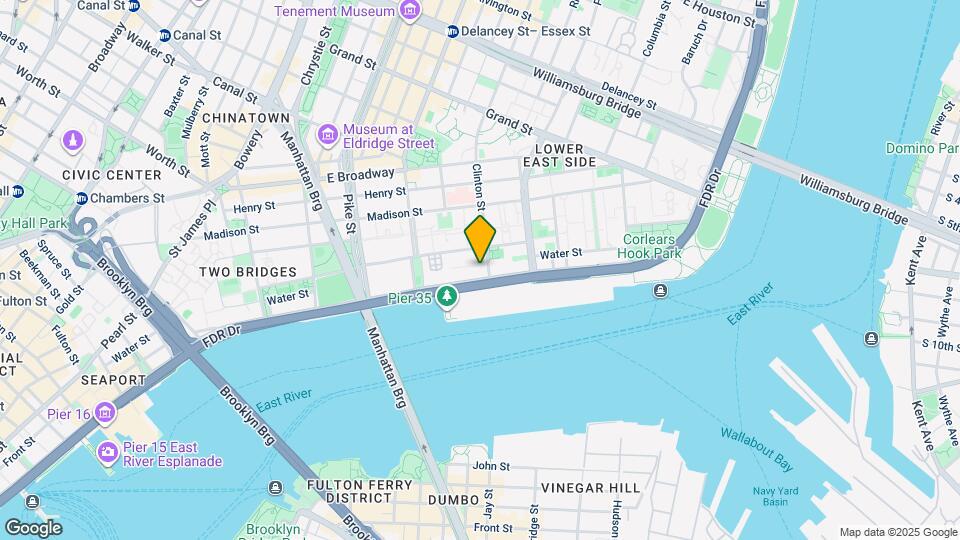 259 Clinton Street Mapa y Detalles de la Ubicación