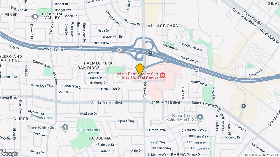 308 Ribbonwood Ave Map and Location Details