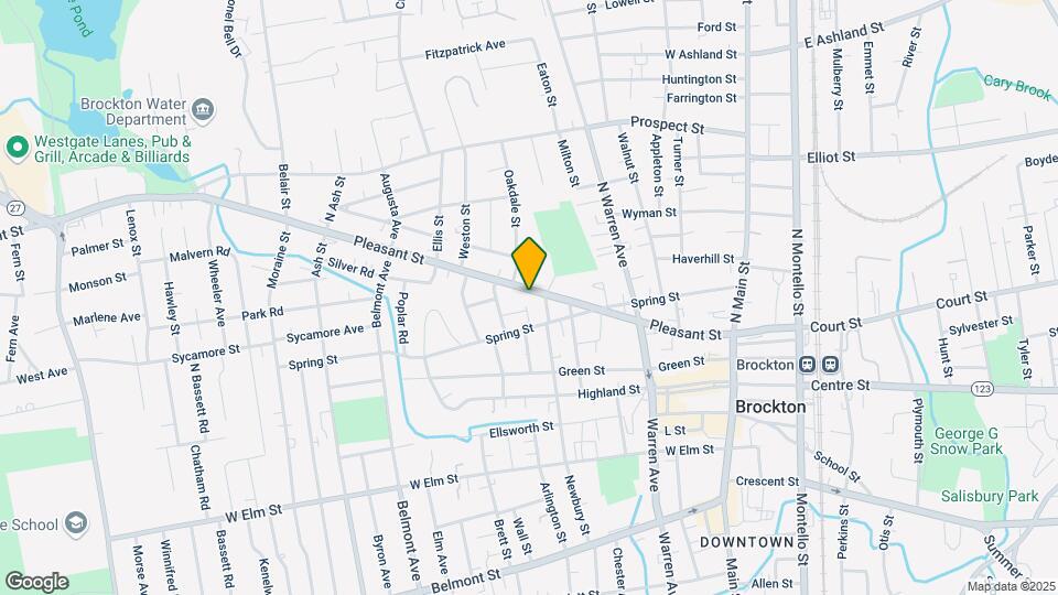 228 Pleasant St Mapa y Detalles de la Ubicación