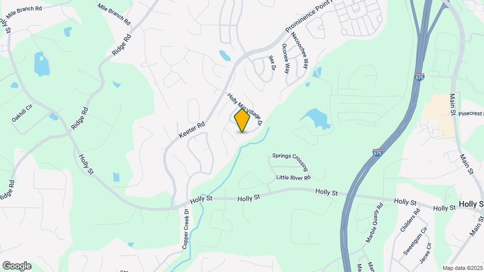 169 Holly Mill Village Dr Map and Location Details
