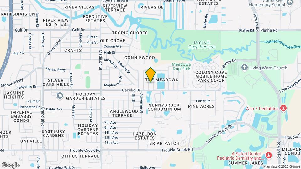 5024 Lillilea Ln Mapa y Detalles de la Ubicación