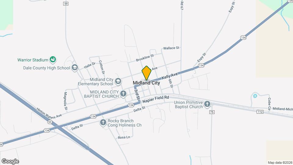 113 Elliott Dr Mapa y Detalles de la Ubicación