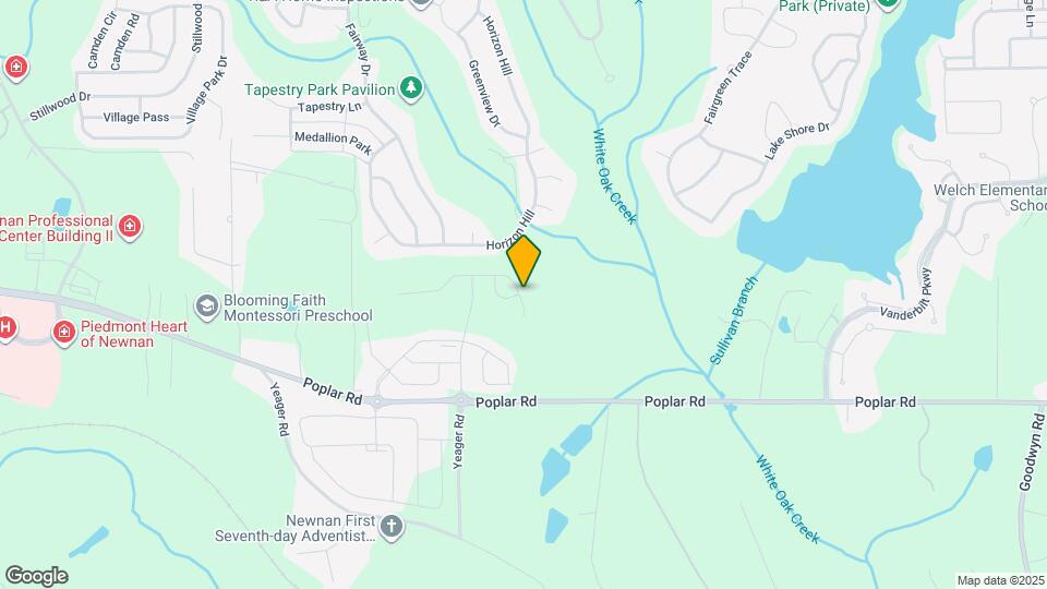 166 Woodbrook Trl Map and Location Details