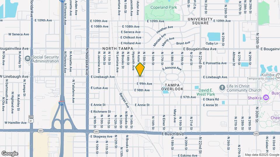 1419 E Linebaugh Ave Map and Location Details