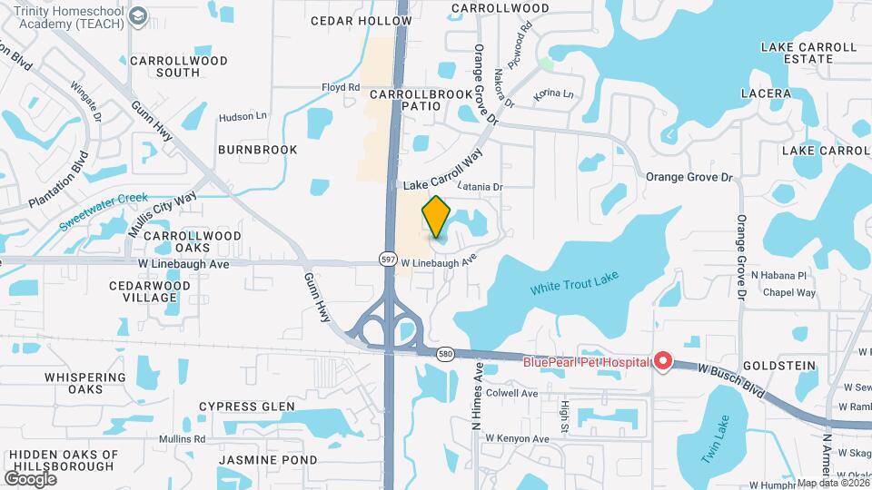 10330 Carrollwood Ln Map and Location Details