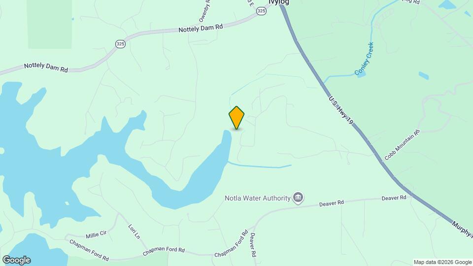 863 Woodland Dr Mapa y Detalles de la Ubicación