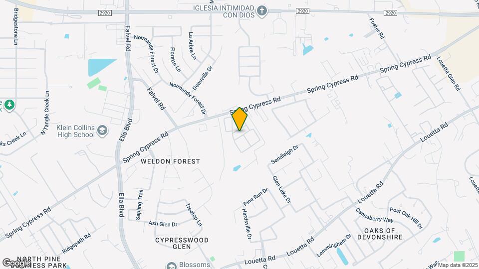 3223 Spring Cypress Rd Map and Location Details