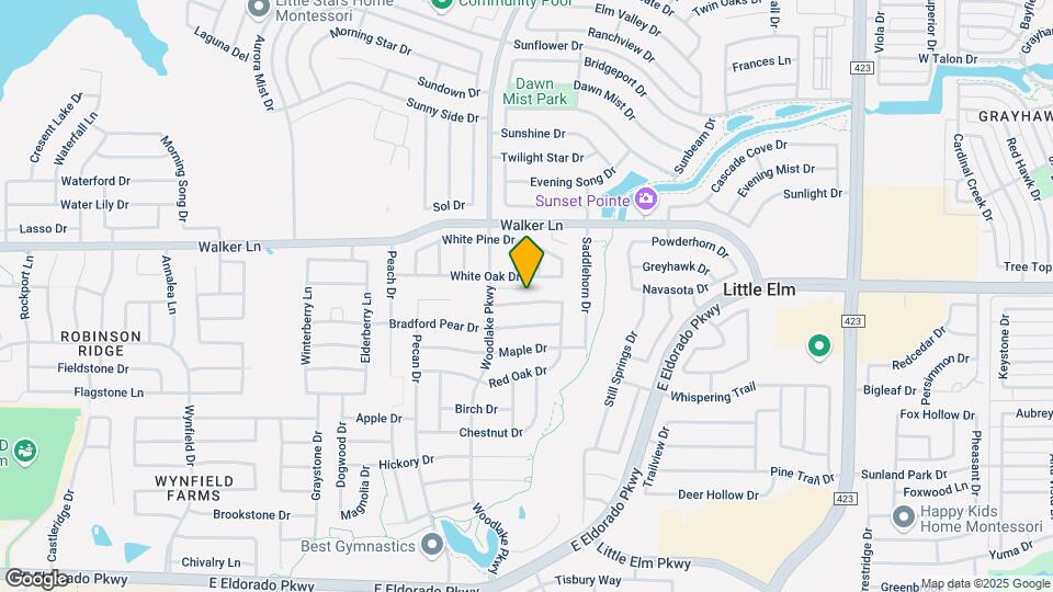 2329 Live Oak Dr Map and Location Details