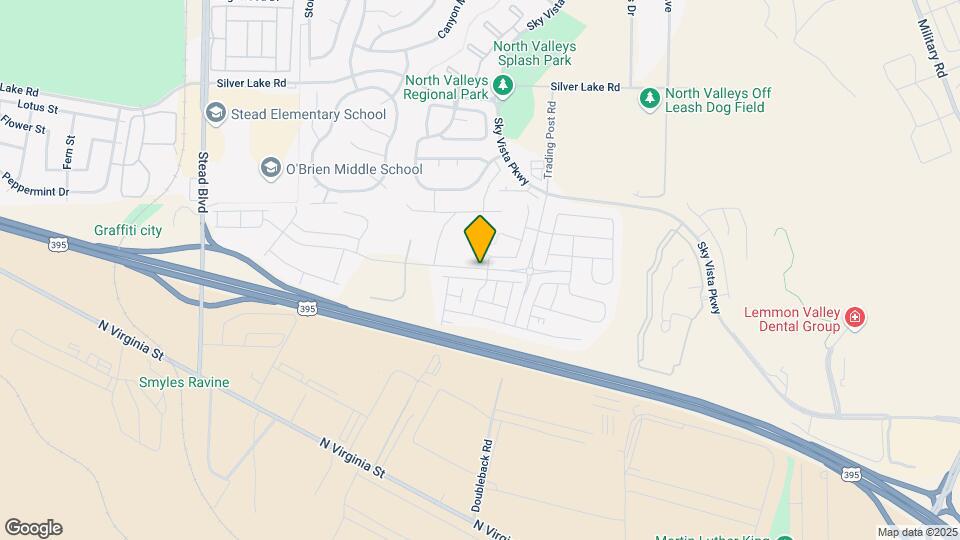 9760 Silver Dollar Ln Map and Location Details
