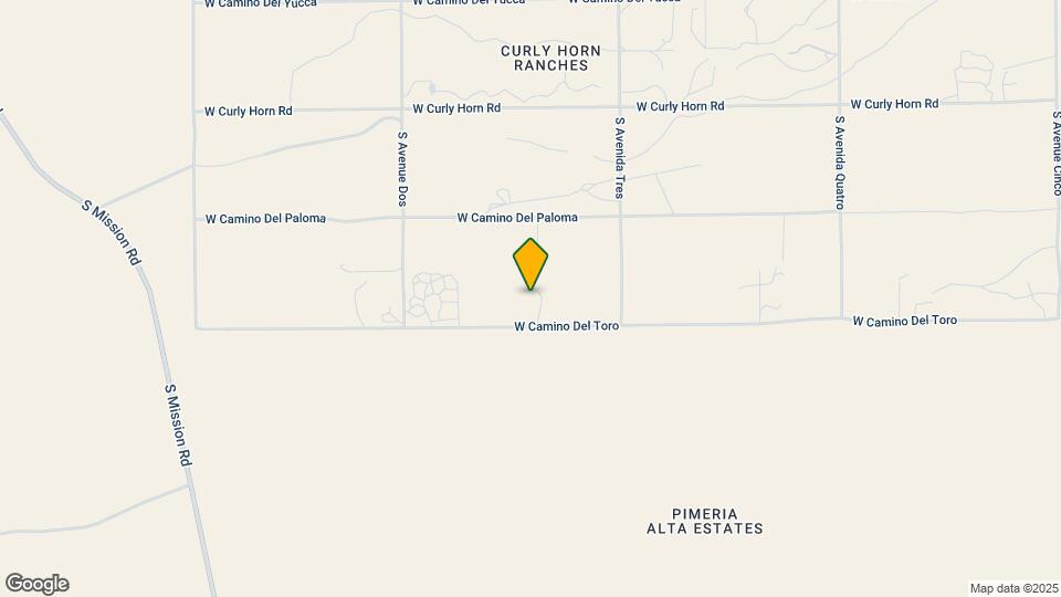 3950 W Camino del Toro Mapa y Detalles de la Ubicación