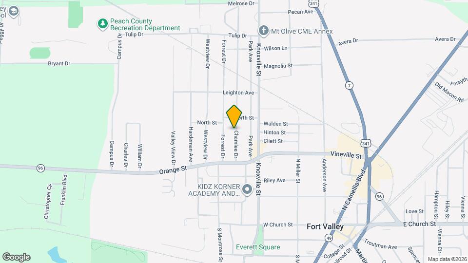 419 Chamlee Dr Map and Location Details