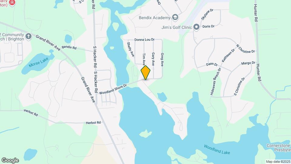 8251 Woodland Shore Dr Map and Location Details