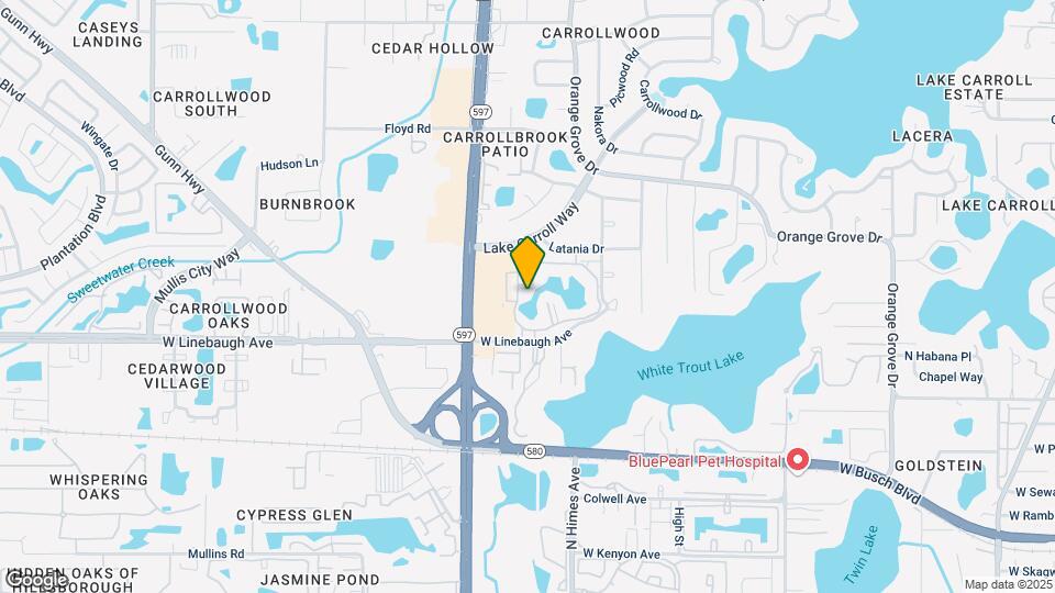 10318 Carrollwood Ln Mapa y Detalles de la Ubicación