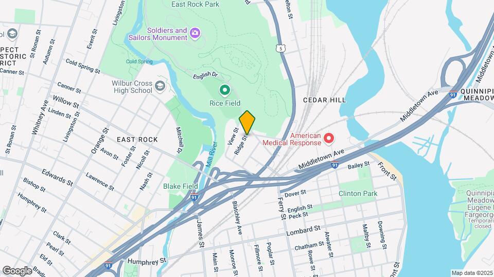 61 Ridge St, Unit 1L Map and Location Details