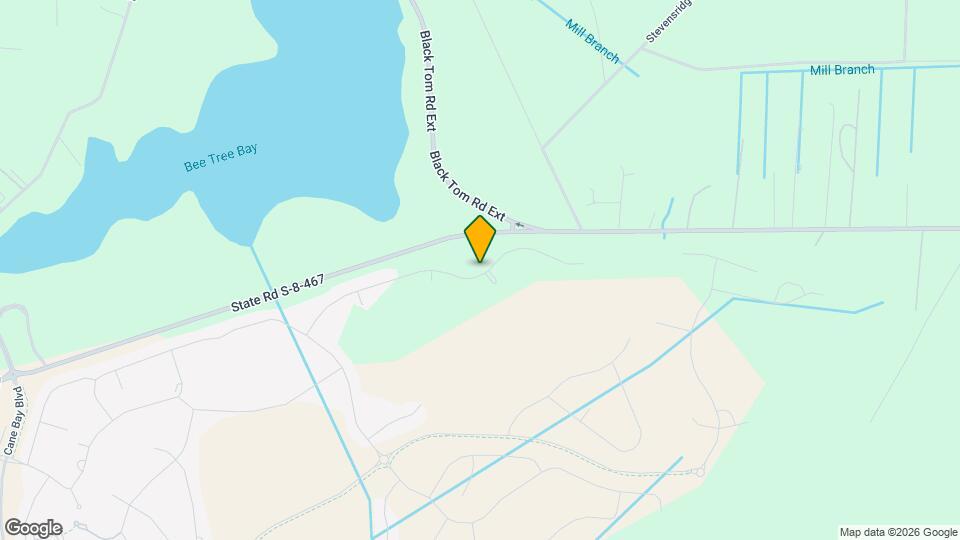 216 Wappoo Trce Ln Map and Location Details