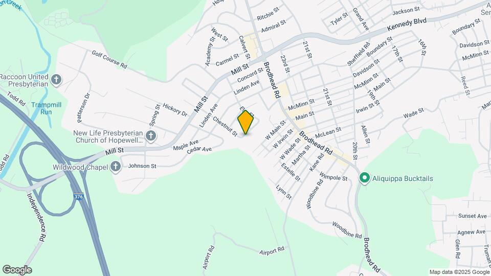 157 Chestnut St, Unit 1 Mapa y Detalles de la Ubicación