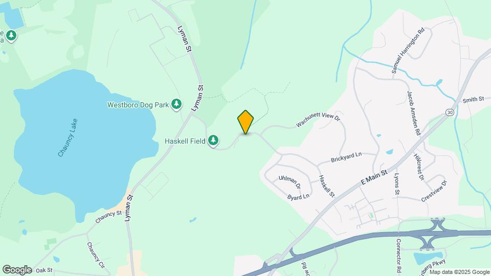 38 Haskell St Map and Location Details