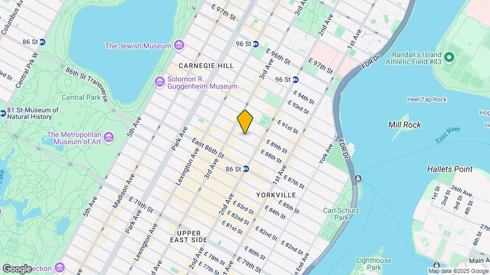219 E 88th St Map and Location Details