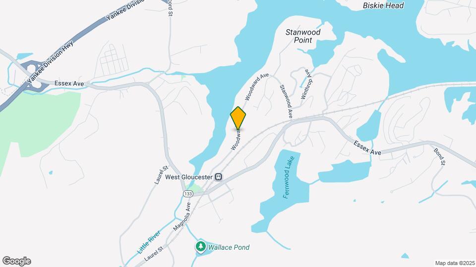 54 Woodward Ave Map and Location Details