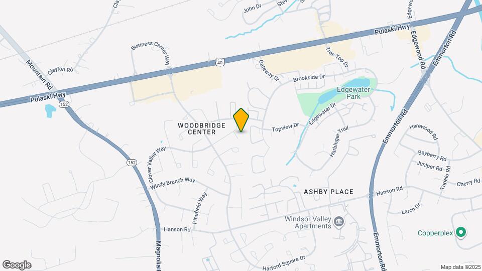 1307 Clover Valley Way Mapa y Detalles de la Ubicación