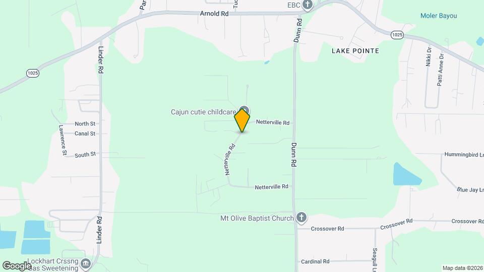 31808 Netterville Rd Map and Location Details