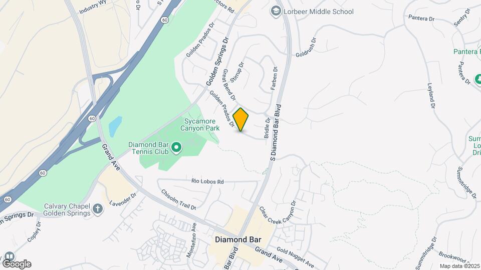 877 Golden Prados Dr Map and Location Details