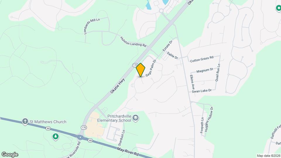 51 Sago Palm Dr Mapa y Detalles de la Ubicación