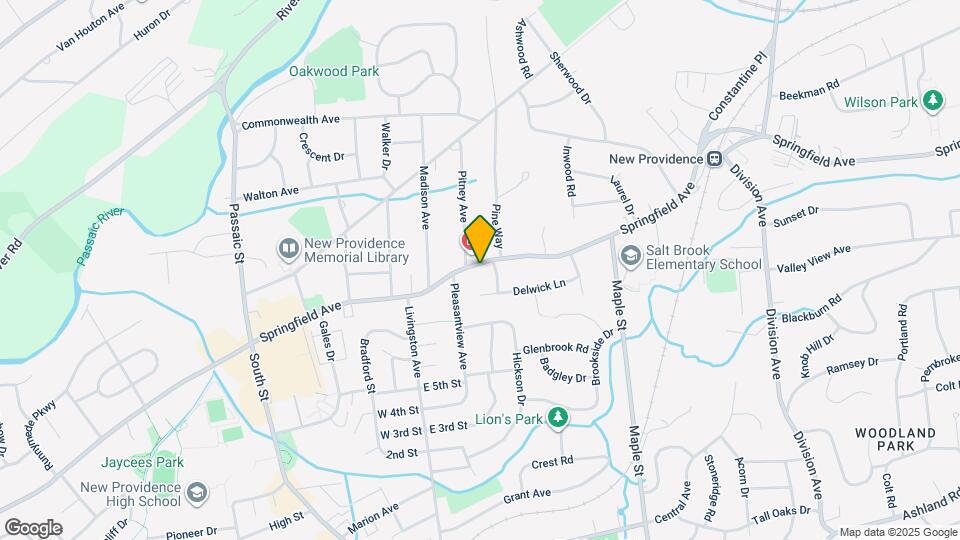 1072 Springfield Ave Map and Location Details