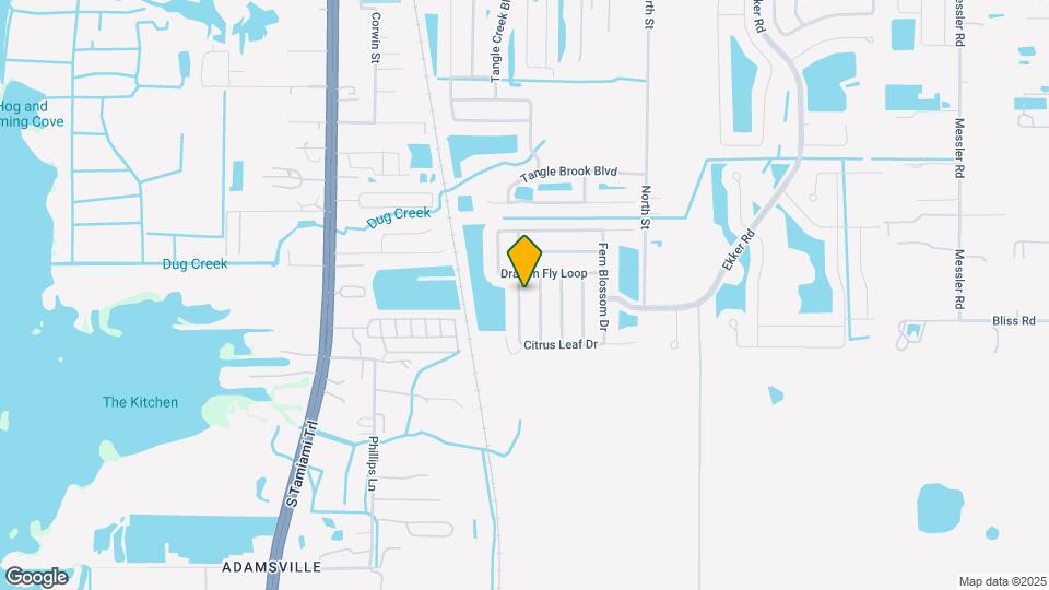 12012 Citrus Leaf Dr Mapa y Detalles de la Ubicación