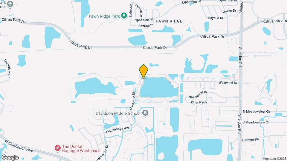 9228 Lake Chase Island Way Map and Location Details
