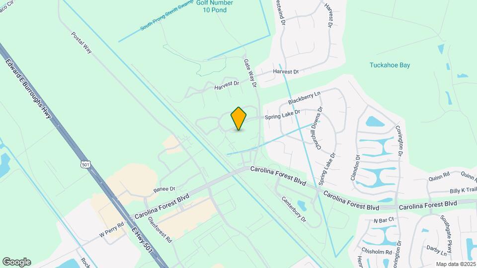 121 Ashley Park Dr Map and Location Details