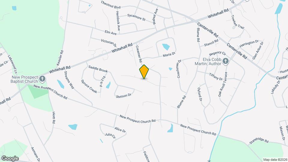 113 Bean Mill Way Mapa y Detalles de la Ubicación