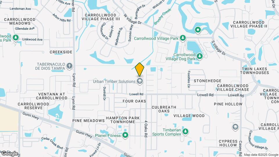 13136 Carrollwood Creek Dr Map and Location Details