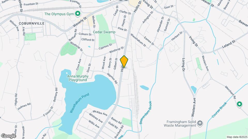 394 Hollis St Map and Location Details