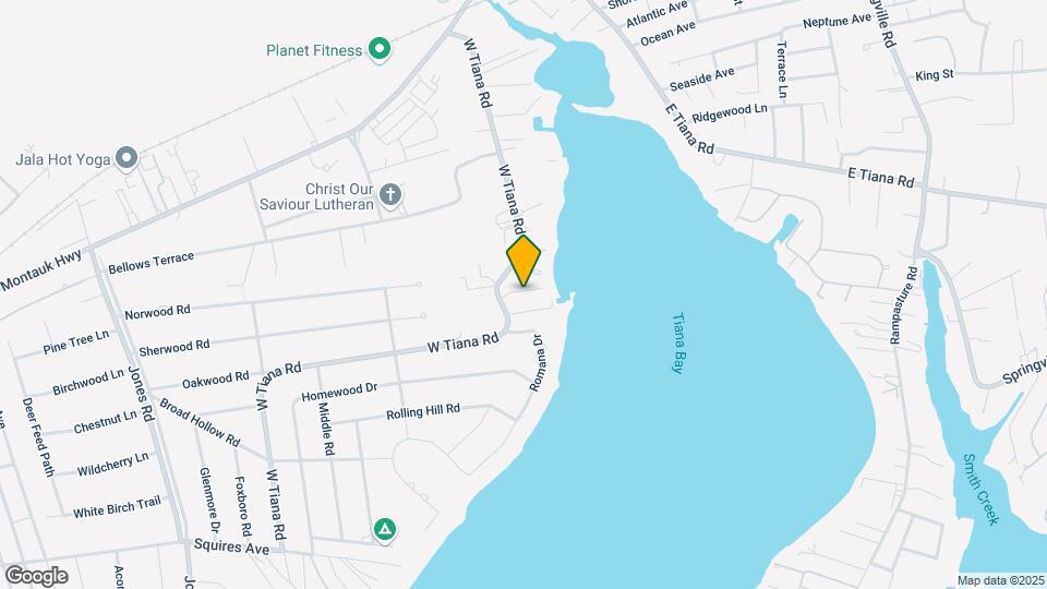 81 W Tiana Rd Mapa y Detalles de la Ubicación