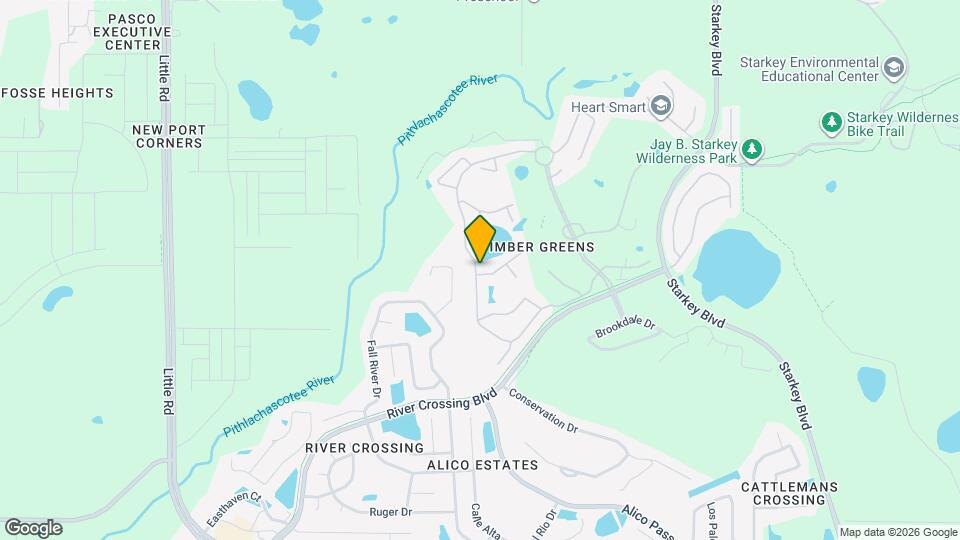 9307 Palm Haven Ct Map and Location Details