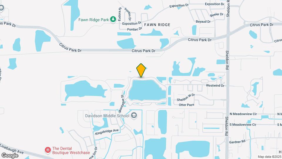 9190 Lake Chase Island Way Map and Location Details