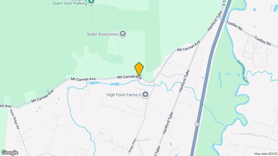 1187 Mt Carmel Ave Map and Location Details