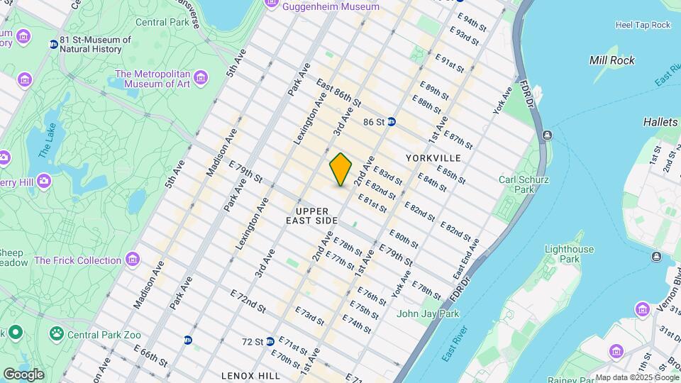 236 E 81st St Map and Location Details