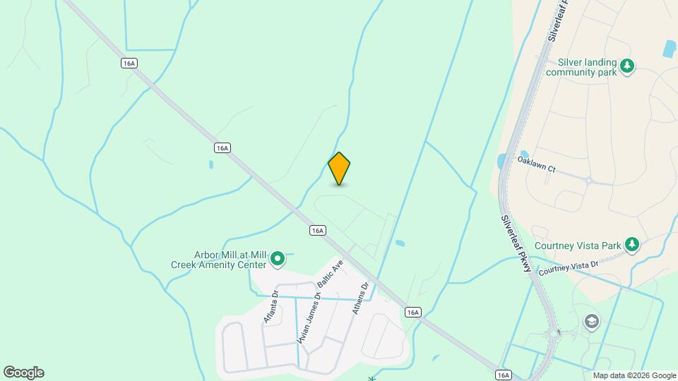 329 Banyan Frst Dr Mapa y Detalles de la Ubicación