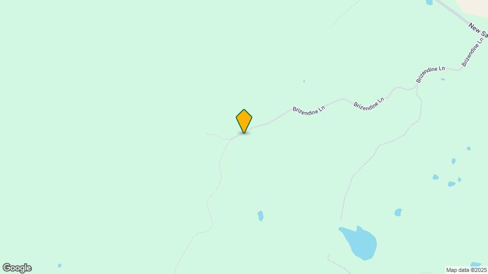 1341 Brizendine Ln Map and Location Details