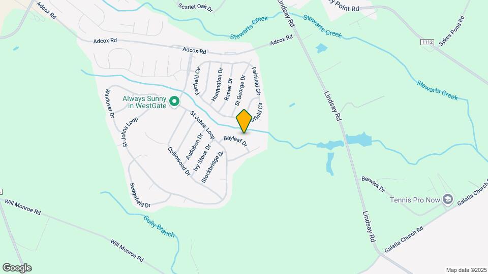223 Bayleaf Dr Map and Location Details